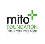 Mito Foundation Brand Film Sydney & Newcastle